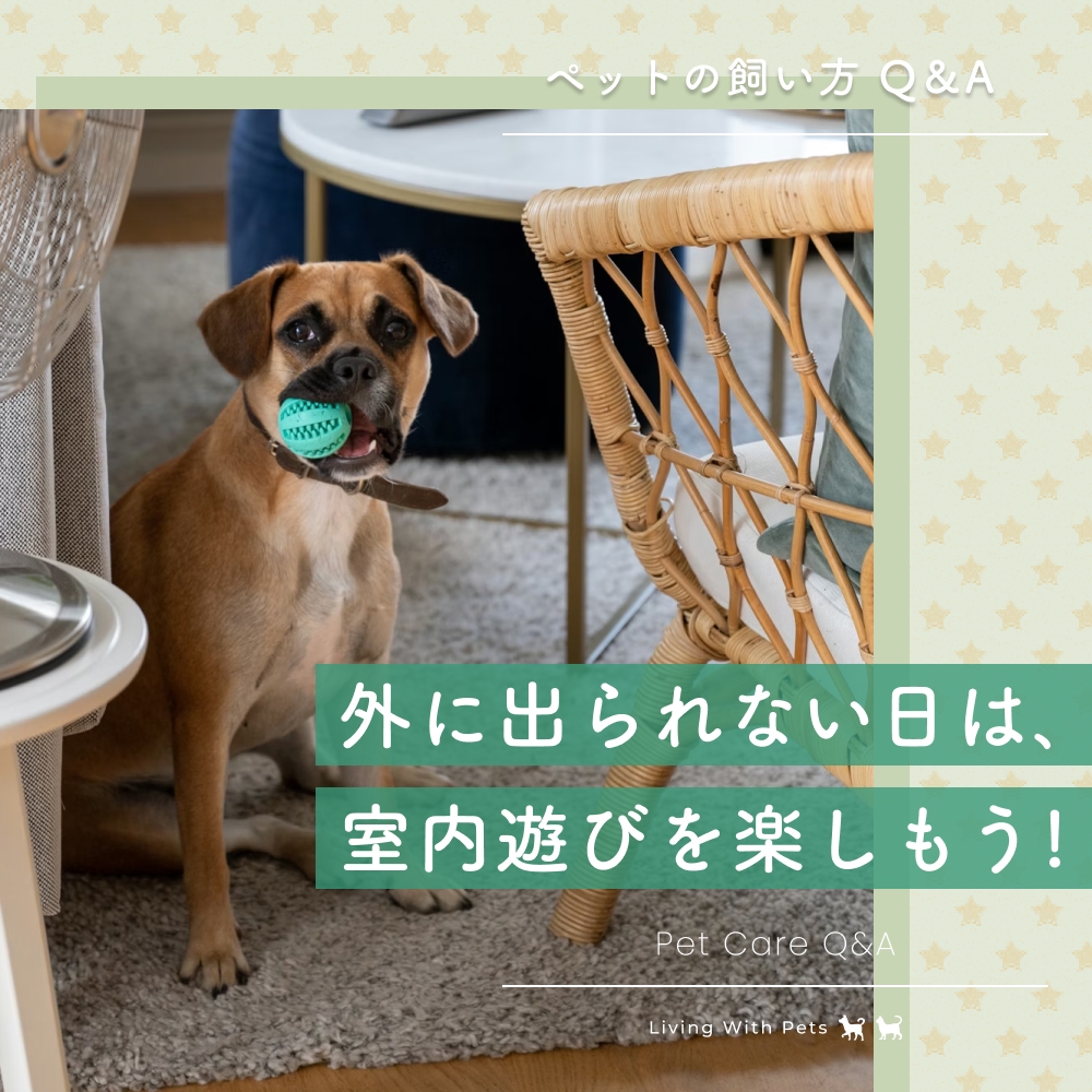 外に出られない日は、室内遊びを楽しもう！