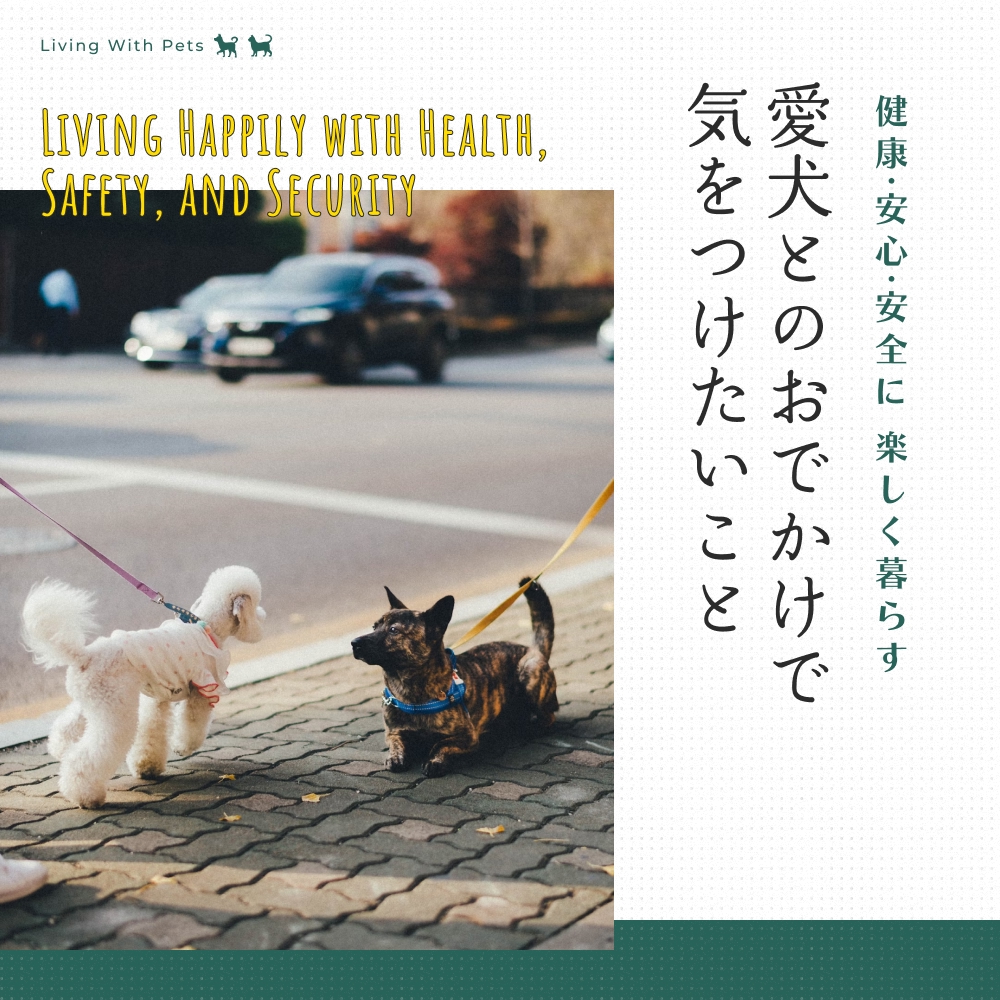 愛犬とのおでかけで気をつけたいこと