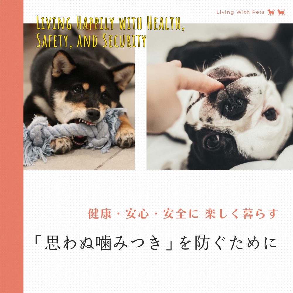 「思わぬ噛みつき」を防ぐために